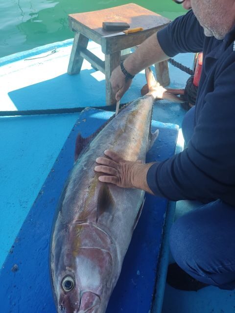 Rhodes Town: Fishing Boat Trip with Fish Meal and Swim Stops - Fishing in Rhodes waters: what the crew actually teaches you