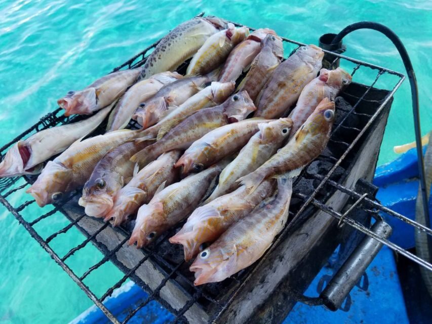 Rhodes Town: Fishing Boat Trip with Fish Meal and Swim Stops - Why $76 feels fair for what’s included