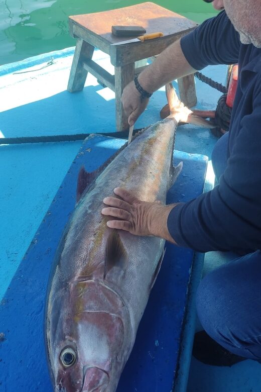 Rhodes Town: Fishing Boat Trip with Fish Meal and Swim Stops - FAQ