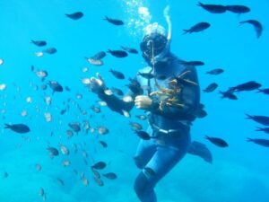 Rhodes Town: Yellow Submarine Cruise with Underwater Views - Where You Board Near Rhodes Courthouse
