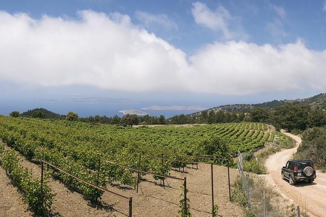 Rhodes Uncharted South Safari: Mountains, Monasteries, & Flavors - Artamitis Monastery brings a quiet change of pace