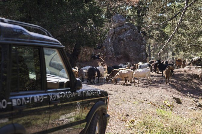 Rhodes Uncharted South Safari: Mountains, Monasteries, & Flavors - Monolithos village is where lunch finally slows things down