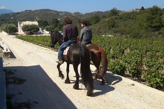 Rhodes Wine & Food Tour: 10 Meal Course Lunch, Wine Tasting, Cooking Class - Wine tasting with a sommelier: what you learn (and what you get to taste)