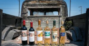 Rhodes: Winery Tour, Tasting and cooking with the Winemaker - Vineyards first: local grape varieties and sustainable viticulture