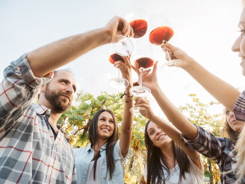 Rhodes: Winery Tour, Tasting and cooking with the Winemaker - The cooking class: tzatziki, eggplant salads, and dolmades (with real participation)