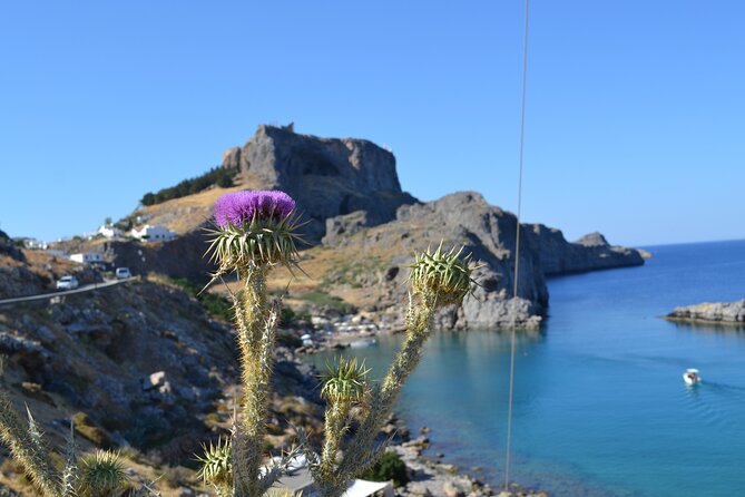 Rhodos-Vip: Guided Tour to Lindos village + Butterflies Valley - Three hours in Lindos and above the village