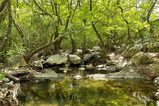 Riverbank Adventure in Naxos (Kinidaros - Eggares) - Riverbank Adventure in Naxos: the highlights that matter