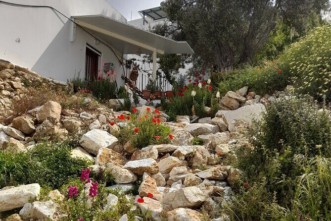 Riverbank Adventure in Naxos (Kinidaros - Eggares) - Getting to the trail: pickup timing and how the day flows
