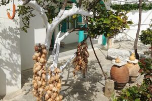 Riverbank Adventure in Naxos (Kinidaros - Eggares) - Eggares Olive Press Museum: the olive oil stop that makes the hike click