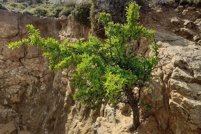 Riverbank Adventure in Naxos (Kinidaros - Eggares) - Trail distance, elevation, and what to pack for real footing