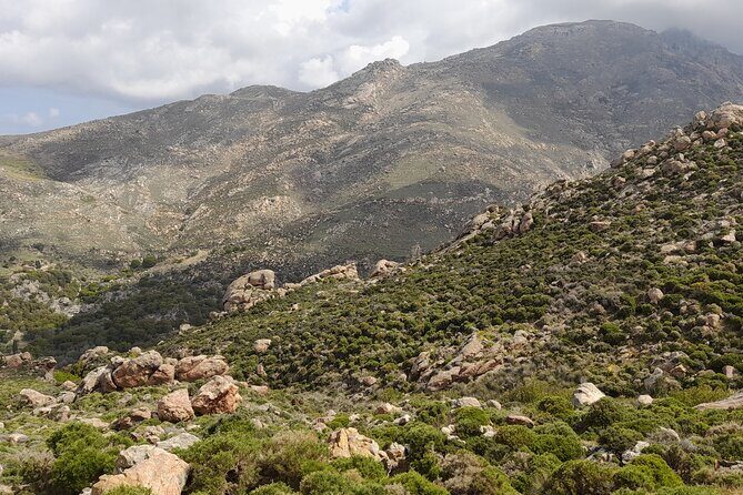 Riverbank Adventure in Naxos (Kinidaros - Eggares) - Price and value: is $132.17 worth it?