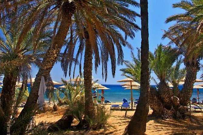 RIVIERA - Vai Palm Beach, Toplou Monastery - Key points at a glance