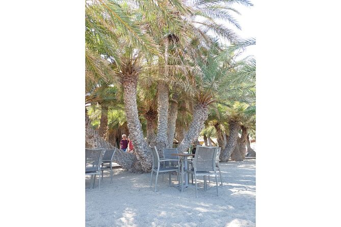 RIVIERA - Vai Palm Beach, Toplou Monastery - Vai Palm Forest and beach time