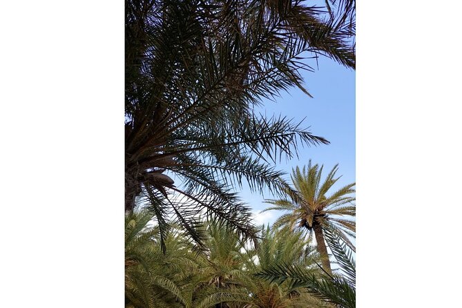 RIVIERA - Vai Palm Beach, Toplou Monastery - A generous Cretan lunch with a view
