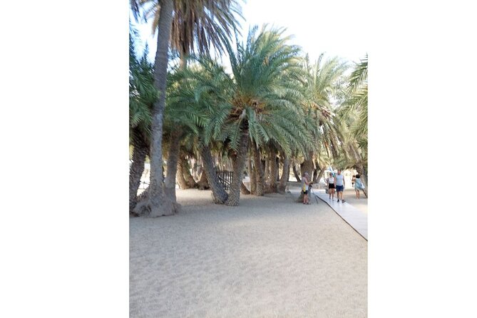 RIVIERA - Vai Palm Beach, Toplou Monastery - Platanos and the sunset return