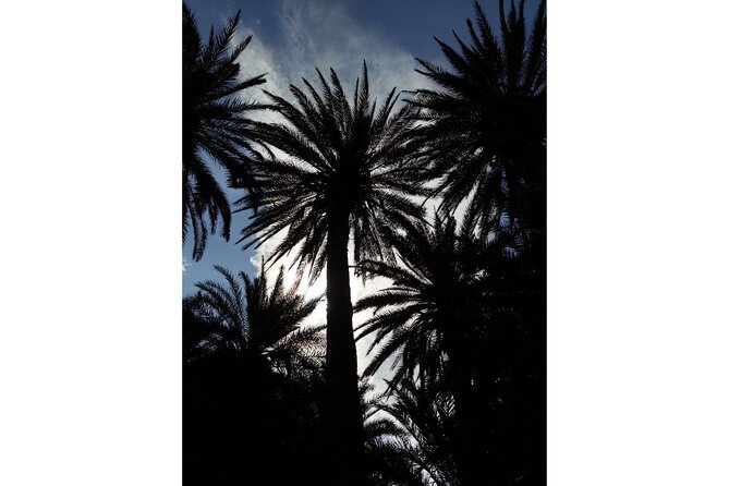 RIVIERA - Vai Palm Beach, Toplou Monastery - Who should book this tour?