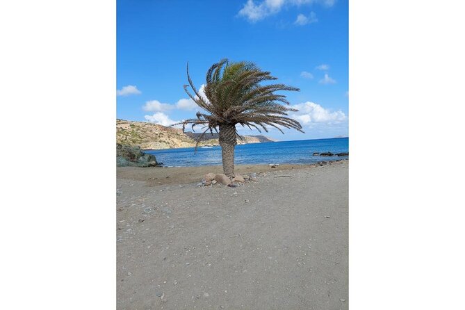 RIVIERA - Vai Palm Beach, Toplou Monastery - Toplou Monastery and its working traditions