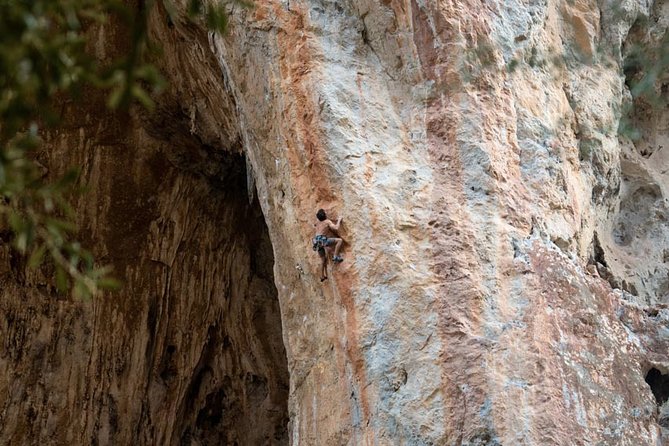 Rock Climbing Course - Value at $143.21 per person