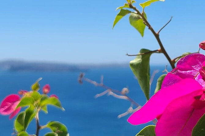 Romantic Tour through Santorini - Oia, two hours among the famous views