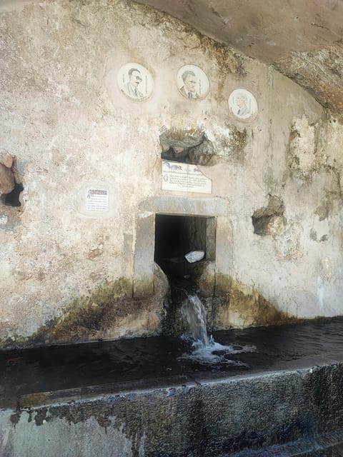 Safari:Lasithi plateau, Mythology park,olive oil tasting - Food, Olive Oil, Wine, and Pottery on the Plateau