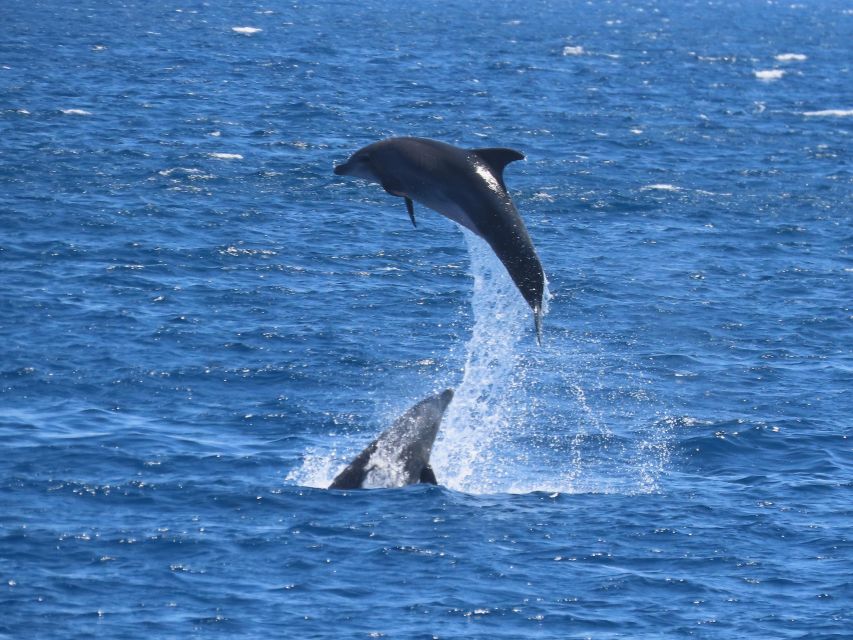 Sail Away in Kos: Unveil 3 Greek Isles’ Secrets! - What the return cruise feels like
