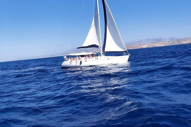 Sailing day to Dia island - Should You Book Sailingcrete’s Dia Island Trip?