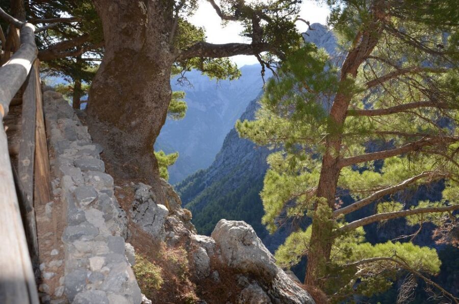 Samariá Gorge Hike: Day Excursion from Chania - Key Things You’ll Notice on This Samariá Gorge Day