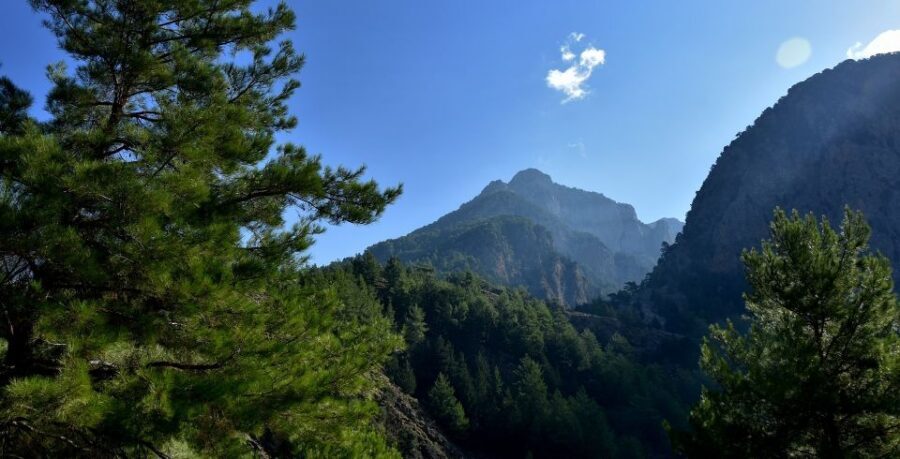 Samariá Gorge Hike: Day Excursion from Chania - Price and Logistics: What You’ll Pay Beyond the Sticker