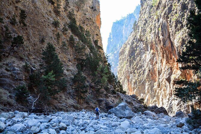 Samaria Gorge Hike from Heraklion region - Inside Samaria: goats, rare flowers, and pacing on stone