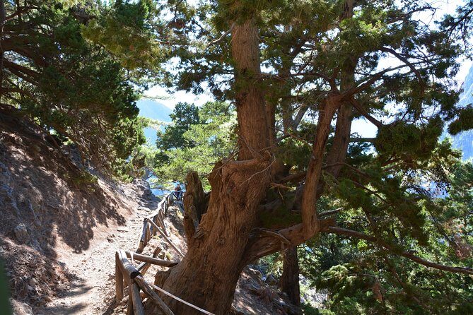 Samaria Gorge Hike - Getting There From Rethymno: pickup towns and why they matter