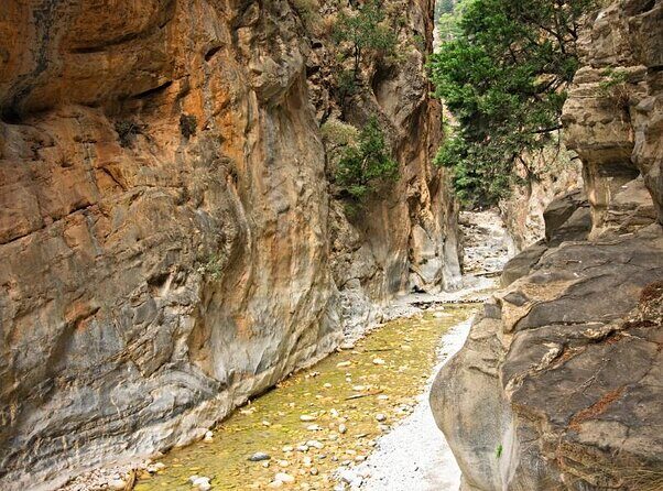 Samaria Gorge Hiking Tour from Chania with Professional Guide - Key things I’d plan around