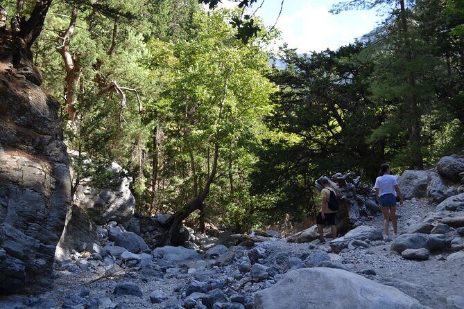 Samaria Gorge Hiking Tour from Chania with Professional Guide - Ferry at 17:30 to Sougia (Usually): The Smooth Part of the Day