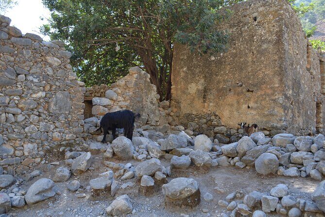 Samaria Gorge Hiking Tour from Chania with Professional Guide - Guide, Safety, and the Group Flow on a Famous Trail