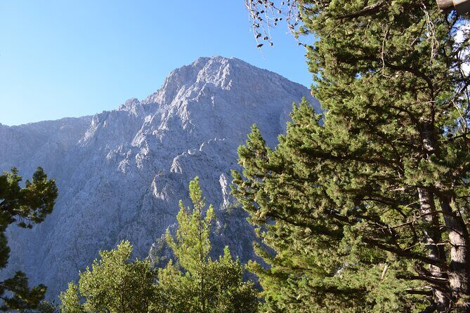 Samaria Gorge Hiking Tour from Chania with Professional Guide - What to Pack: The Small Things That Save Your Day
