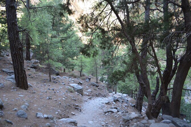 Samaria Gorge Hiking Tour from Chania with Professional Guide - Who This Samaria Gorge Tour Suits Best