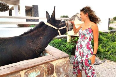 Santorini 4 hours Private Tour : Visit all the hotspots - Oia in 45 minutes: Santorini’s famous postcard village