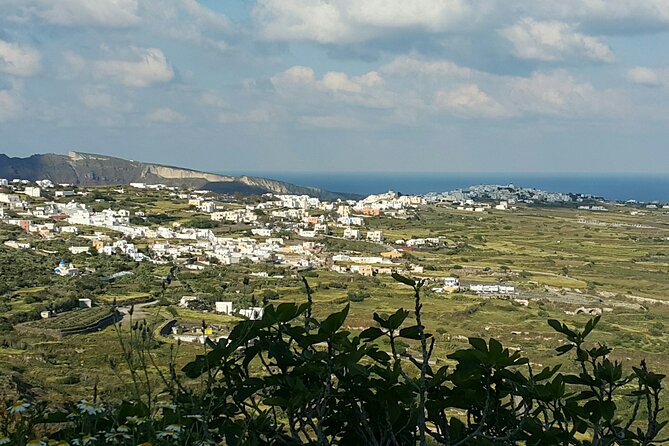 Santorini: 4hr Wheelchair Private Accessible Tour - Kathrin’s role can shape the whole experience
