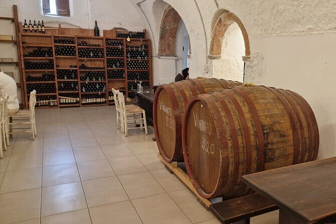 Santorini: 4hrs Small Group Wine Tasting Tour with Local Bites - Who this Santorini wine tour fits best