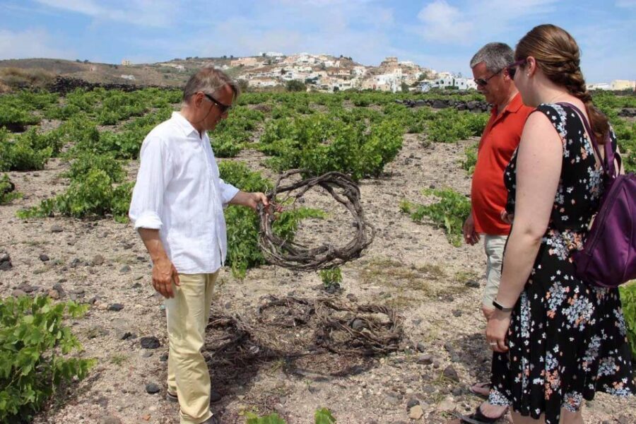 Santorini: 5-Hour Private Wine Tour - Is it worth $353 per person? Value for a private wine day