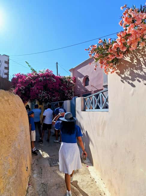 Santorini: 6-Hour Private Sightseeing Tour - Megalochori and the quieter side of the island