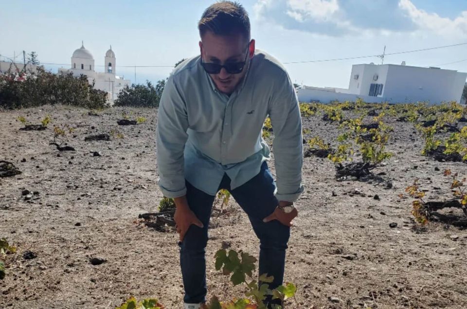 Santorini: Best Of Santorini Private Tour with a Local Guide - Why a private Santorini tour can be worth the price