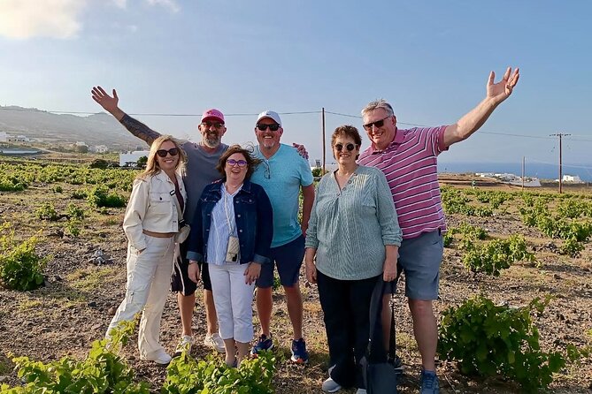 Santorini Cable Car-Free & Stress-Free Private Island Tour - How much value you get for $301.03