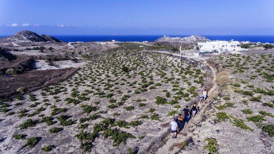 Santorini: Cooking Class and Easy Hike - A local cooking lesson with Anna