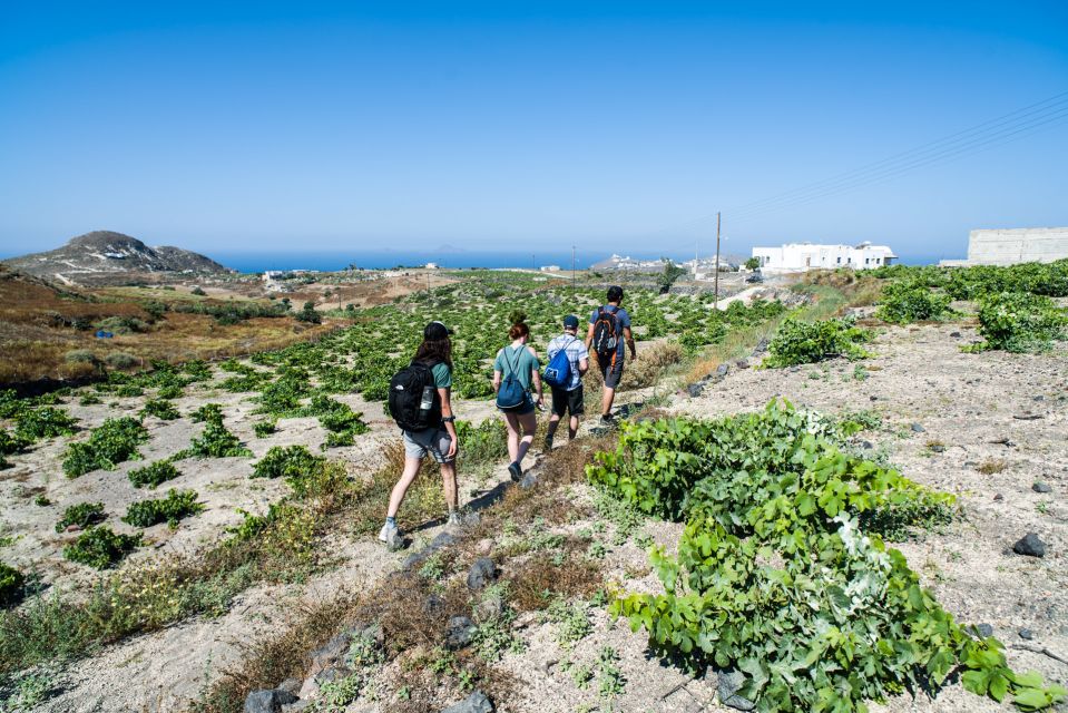 Santorini: Cooking Class and Easy Hike - What the guides add to the morning