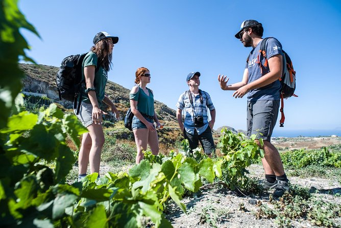 Santorini : Cooking Class & Easy Hike - Why this tour gets you beyond Santorini’s postcard view