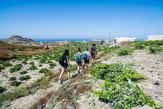 Santorini : Cooking Class & Easy Hike - Cooking with Sofia or Chef Ana