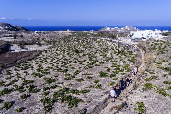 Santorini : Cooking Class & Easy Hike - Is $178.62 a fair price?