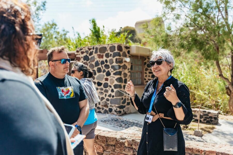Santorini: Experience Akrotiri with a Licensed Tour Guide - Meeting Akrotiri at the entrance and skipping the ticket line