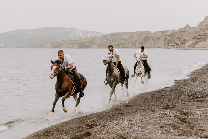 Santorini: Extreme Horse Safari with Beach Gallop - Key points worth knowing before you book