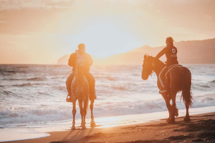 Santorini: Extreme Horse Safari with Beach Gallop - Why Megalochori Stables Starts This Ride the Right Way